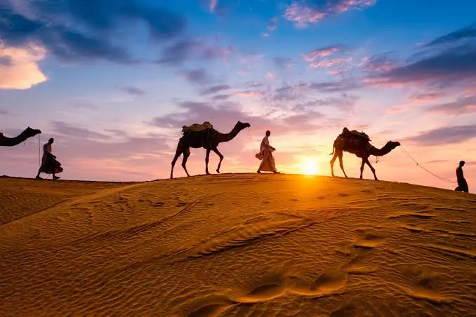 Desert Safari Dubai FAQs: What You Should Know Before Booking
